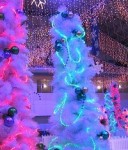 Photo album 2003.12.21-C