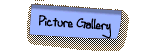 Picture Gallery