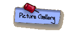 Picture Gallery
