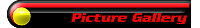 Picture Gallery