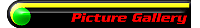 Picture Gallery