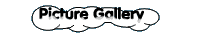 Picture Gallery
